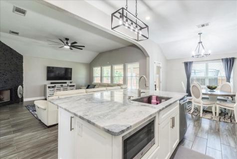 18716 Alnwick Castle Drive Pflugerville TX 78660