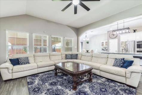 18716 Alnwick Castle Drive Pflugerville TX 78660