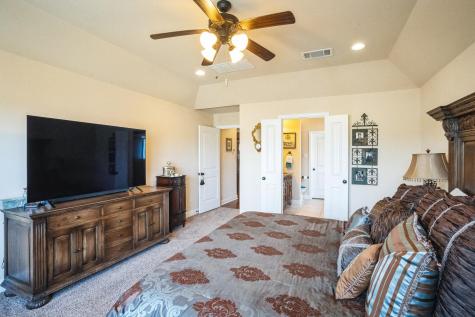441 Mistflower Springs Drive Leander TX 78641
