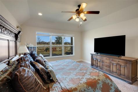 441 Mistflower Springs Drive Leander TX 78641