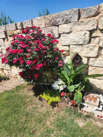 441 Mistflower Springs Drive Leander TX 78641