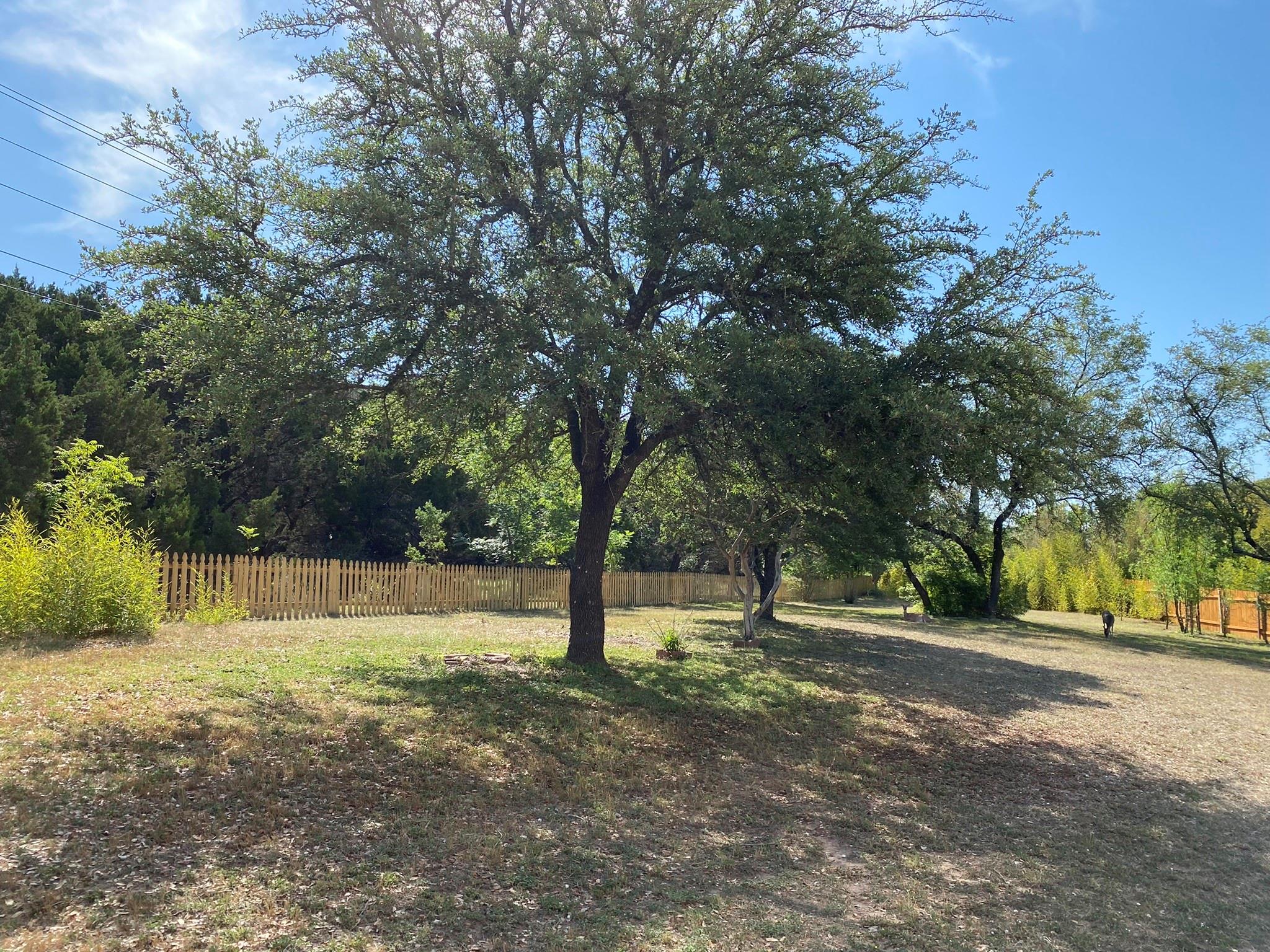 8800 Rattlebush Cove Austin TX 78750