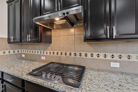 20017 Ploughshores Lane Pflugerville TX 78660