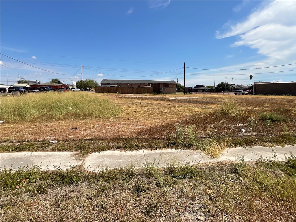 10717 Leopard Street Corpus Christi TX 78410