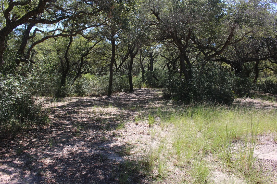 2328 Chaparral Rockport TX 78382