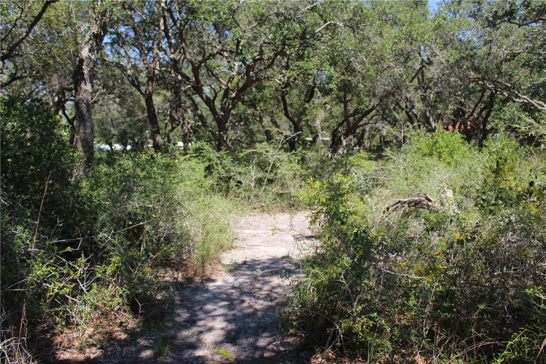 2328 Chaparral Rockport TX 78382