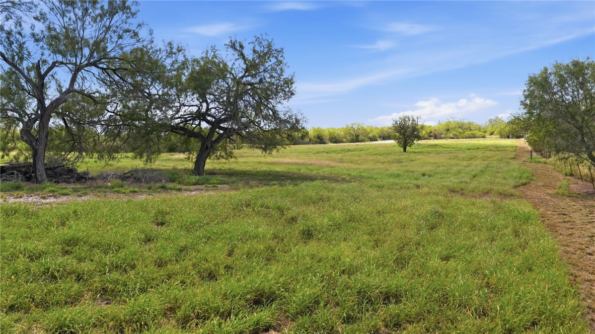 100 County Road 133 George West TX 78022