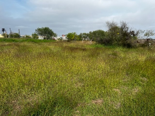 6433 Ayers Street Corpus Christi TX 78415
