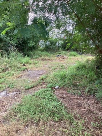 916 S Highway 281 Alice TX 78332