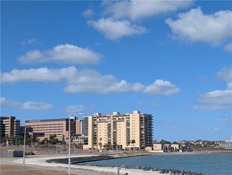 1400 Ocean Drive 1002c Corpus Christi TX 78404