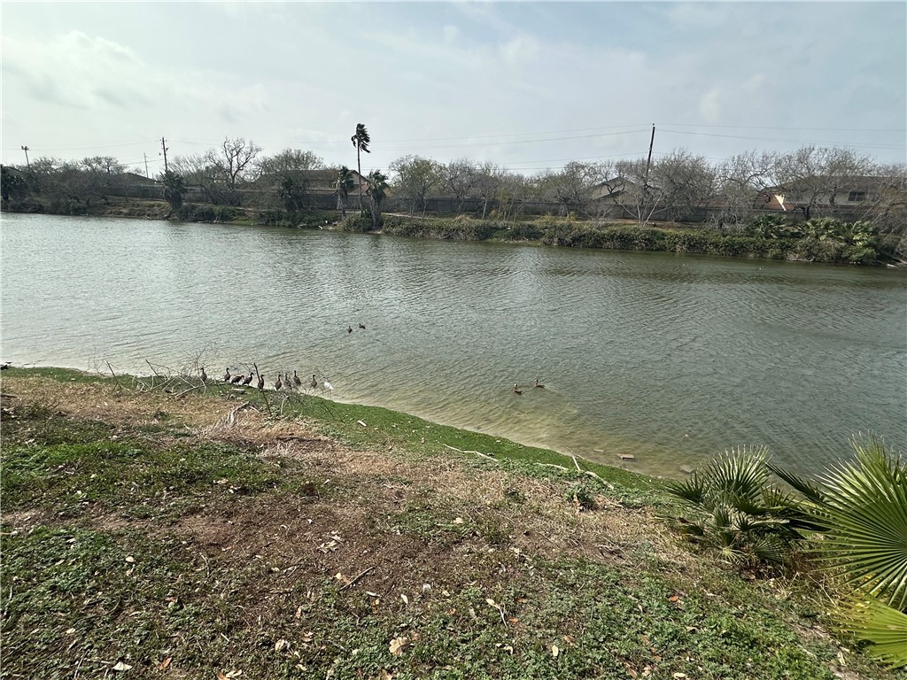 6166 Hidden Oaks 3 Corpus Christi TX 78412