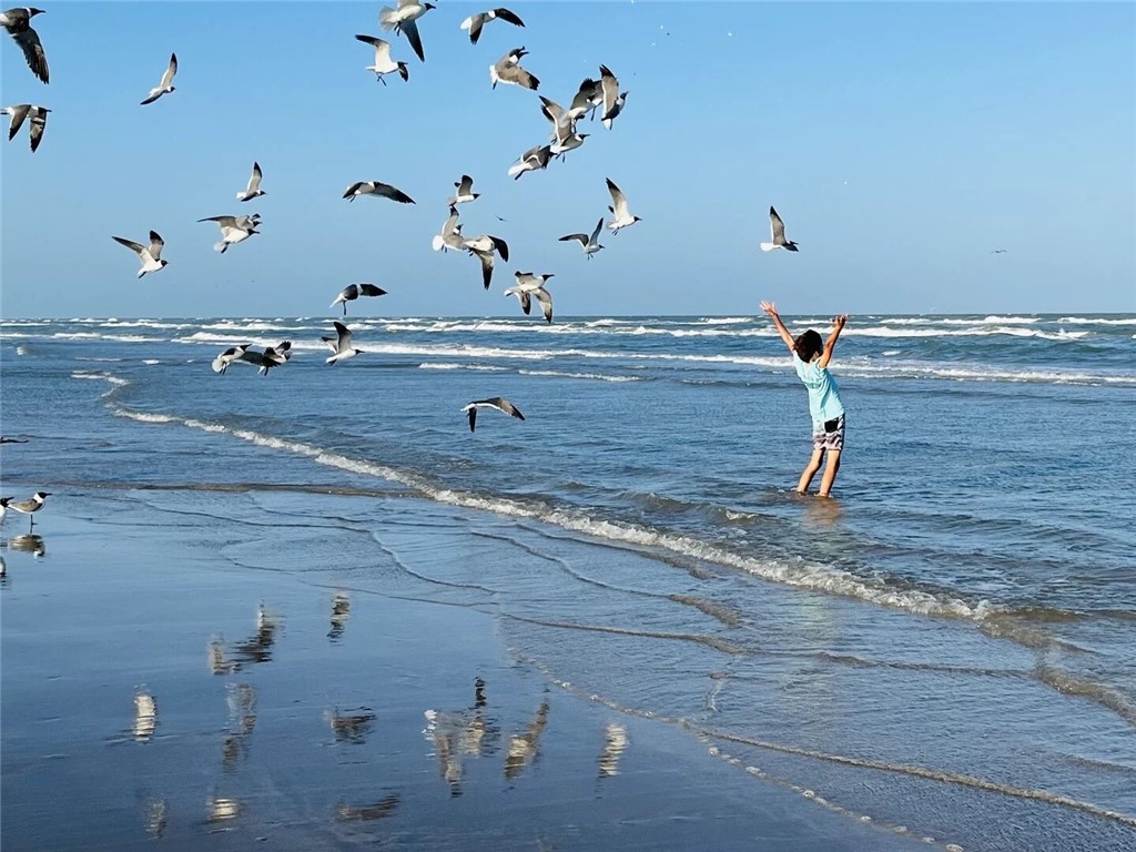 800 Beach Access Road 1a 310 Port Aransas TX 78373
