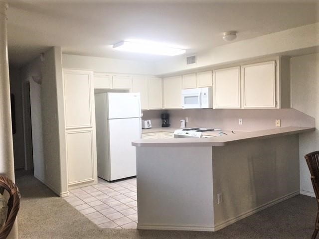 15125 Leeward Drive 18 Corpus Christi TX 78418