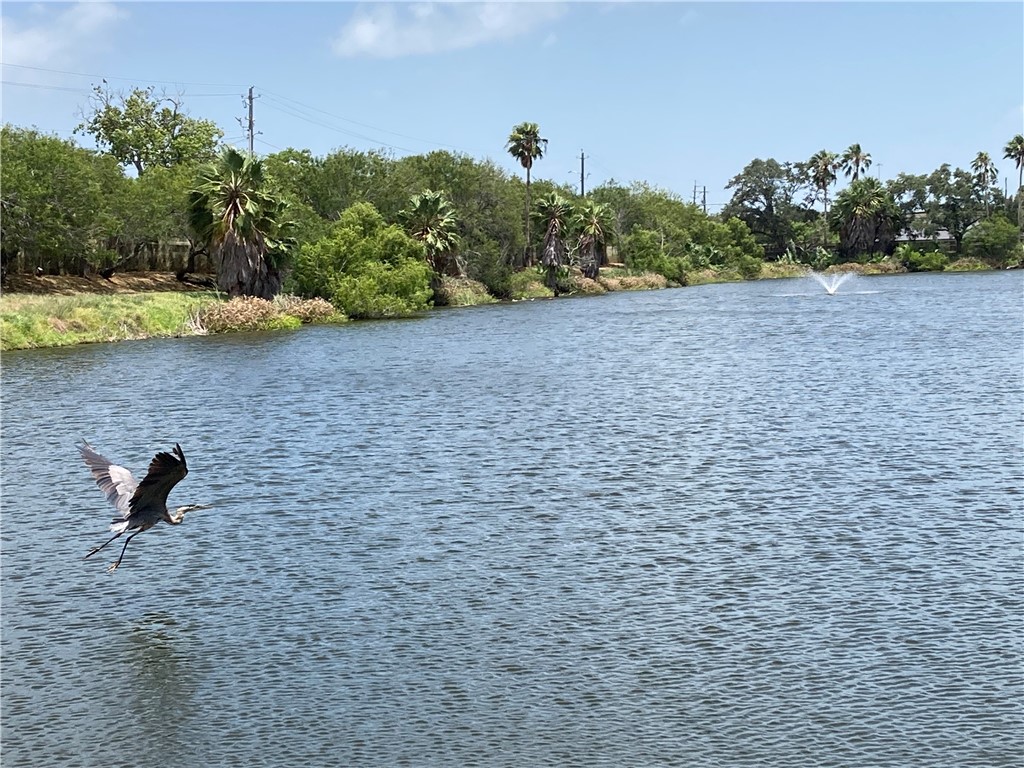 2018 Hidden 2018 Corpus Christi TX 78412