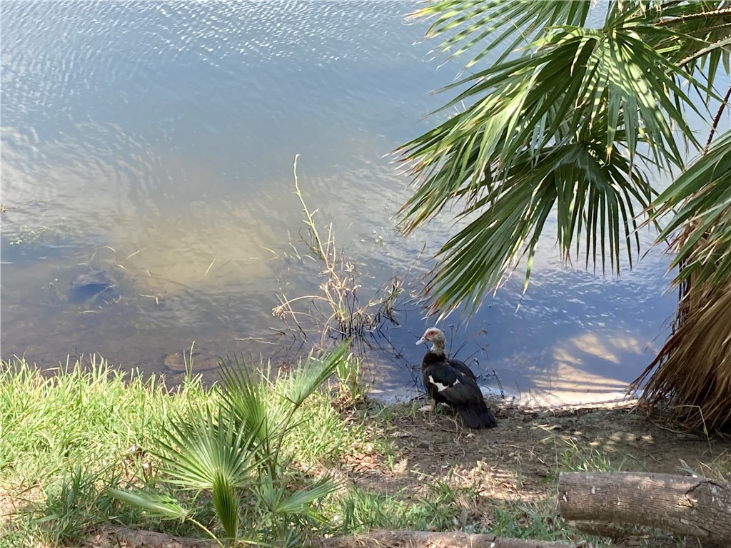 2018 Hidden 2018 Corpus Christi TX 78412