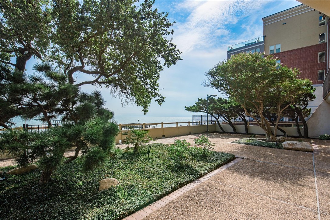 4500 Ocean Drive 5a Corpus Christi TX 78412