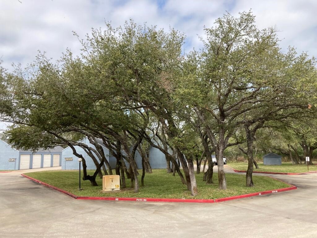 209 Forest Hills 228 Rockport TX 78382