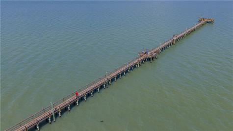 620 S Fulton Beach 708 Rockport TX 78382