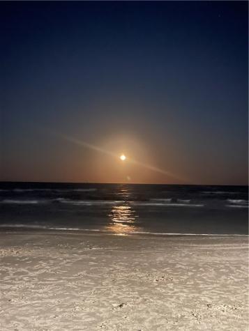 15005 Windward Drive 208 Corpus Christi TX 78418