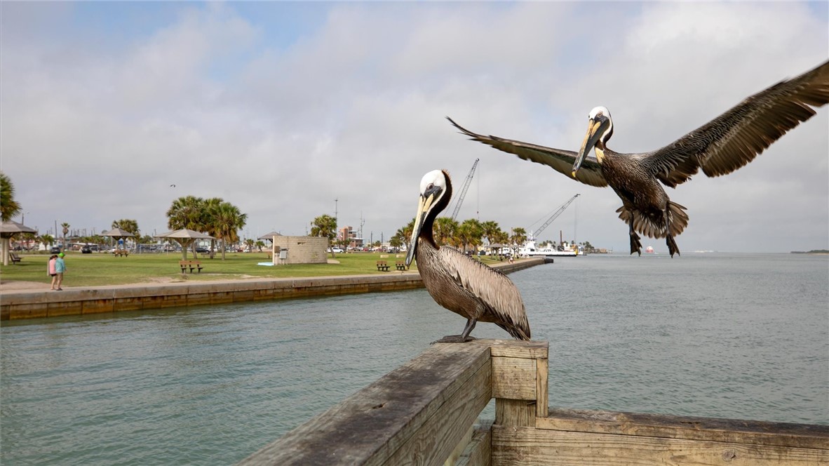230 Cut Off 217 Port Aransas TX 78373