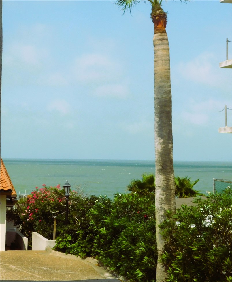 4270 Ocean Drive Corpus Christi TX 78411