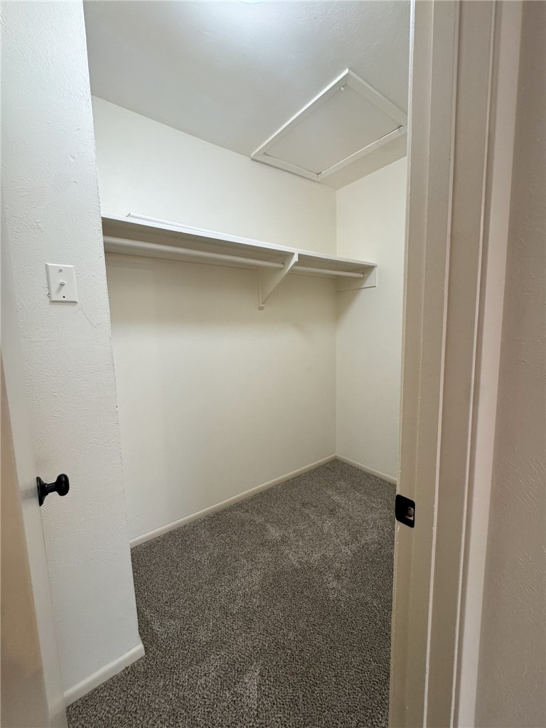 6215 Hidden Cove Corpus Christi TX 78412
