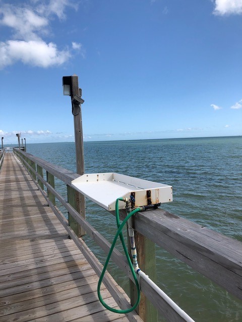 4350 Ocean Drive 202 Corpus Christi TX 78412