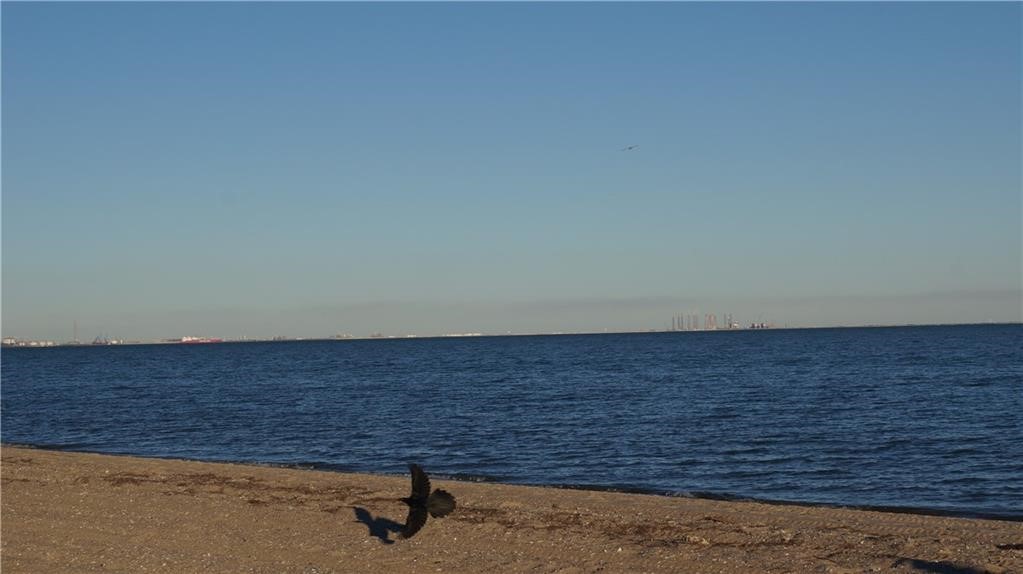 3938 Surfside Boulevard 3222 Corpus Christi TX 78402