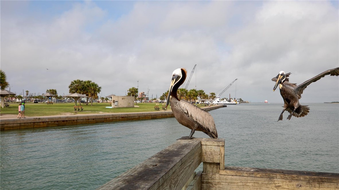230 Cut Off 217 Port Aransas TX 78373