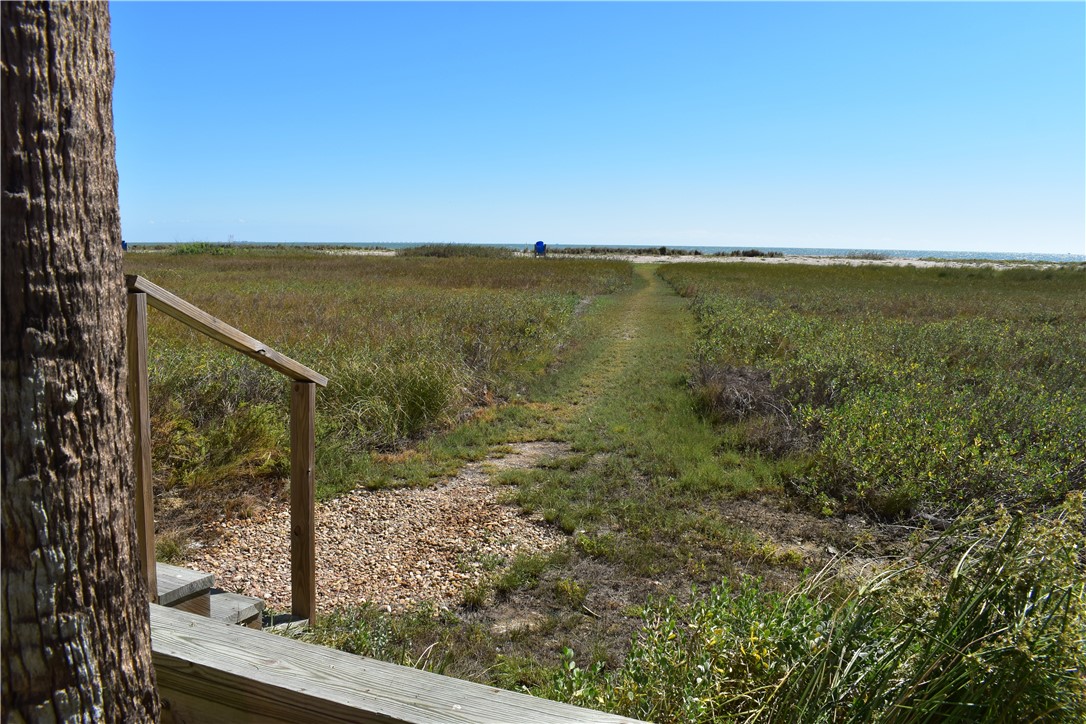 202 Reef 104 Corpus Christi TX 78402