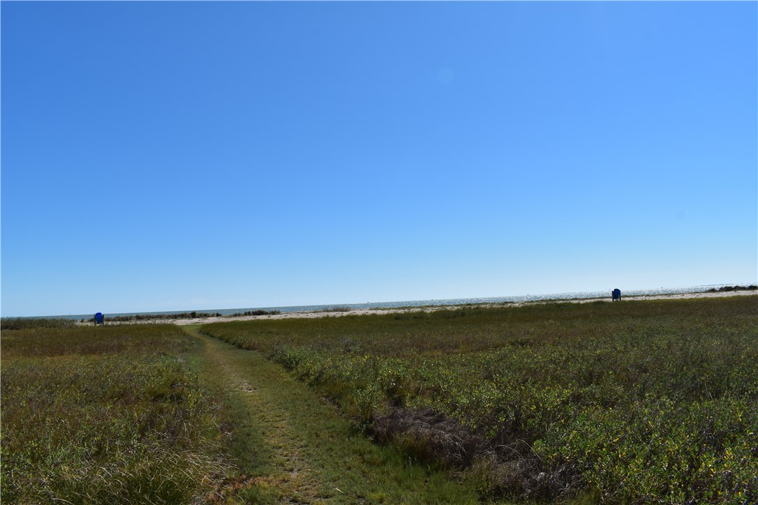 202 Reef 104 Corpus Christi TX 78402