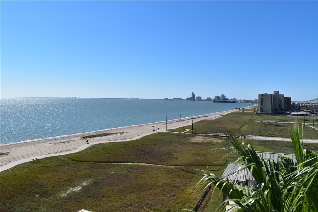 202 Reef 104 Corpus Christi TX 78402