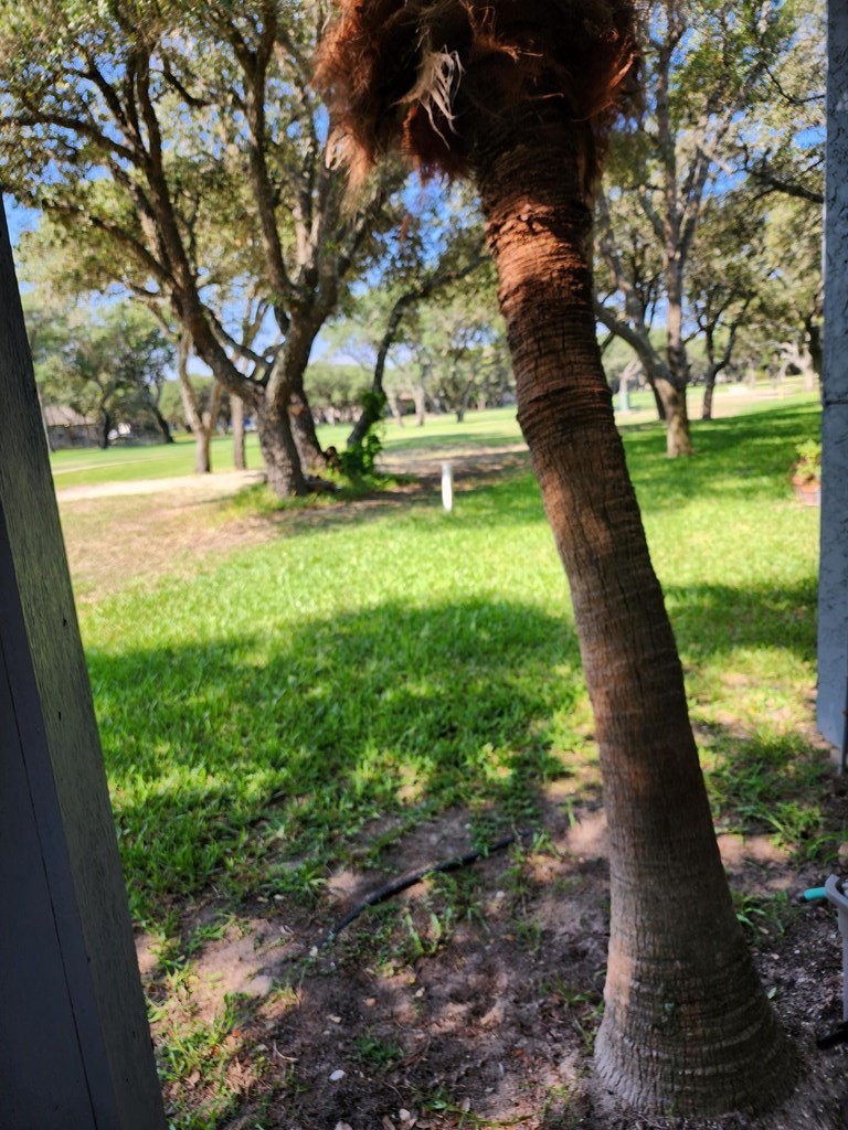 209 Forest Hills 111 Rockport TX 78382