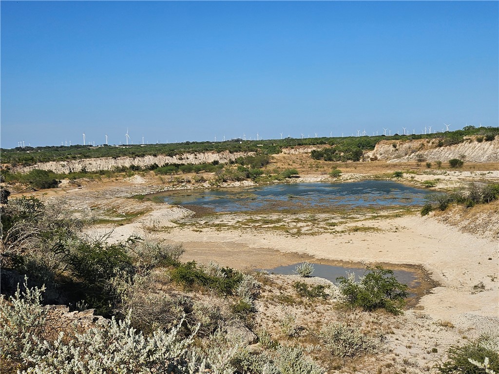 24024 441 Creek Mathis TX 78368