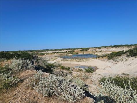 24024 441 Creek Mathis TX 78368
