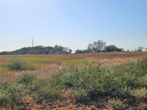 24024 441 Creek Mathis TX 78368