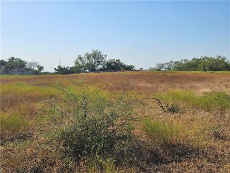 24024 441 Creek Mathis TX 78368