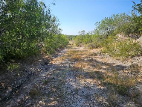 24024 441 Creek Mathis TX 78368