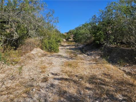24024 441 Creek Mathis TX 78368