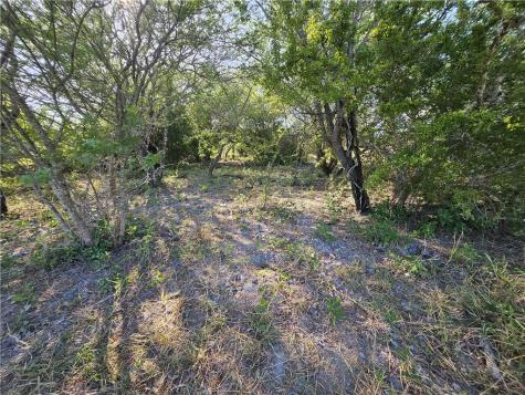 24024 441 Creek Mathis TX 78368