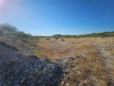 24024 441 Creek Mathis TX 78368