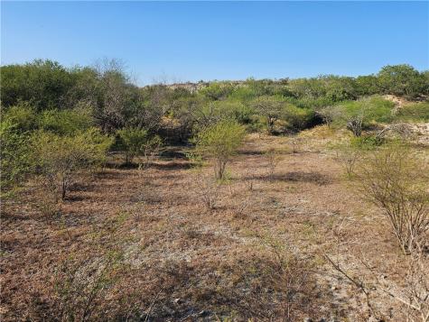 24024 441 Creek Mathis TX 78368
