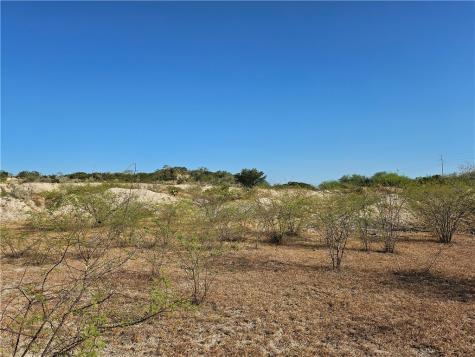 24024 441 Creek Mathis TX 78368