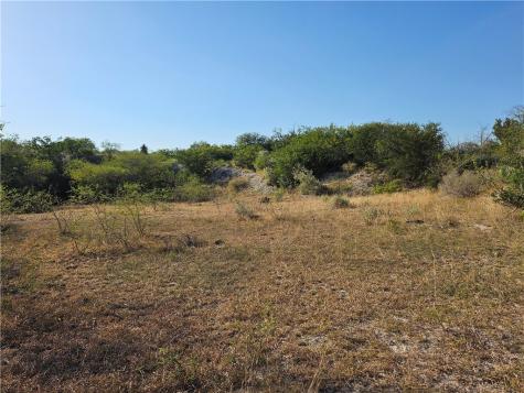 24024 441 Creek Mathis TX 78368