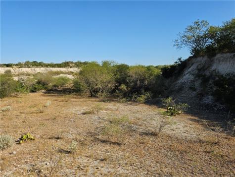 24024 441 Creek Mathis TX 78368