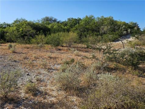24024 441 Creek Mathis TX 78368