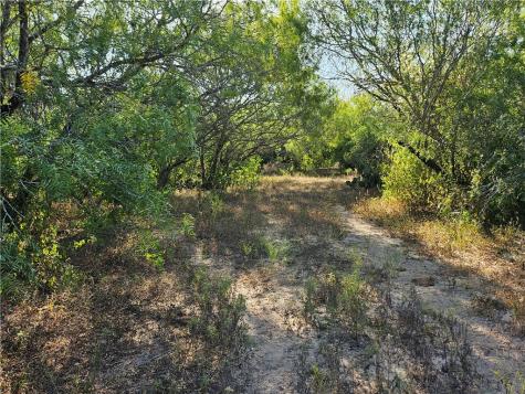 24024 441 Creek Mathis TX 78368