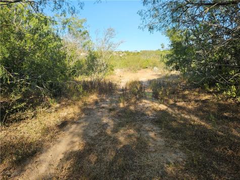 24024 441 Creek Mathis TX 78368
