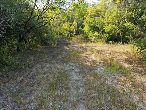 24024 441 Creek Mathis TX 78368