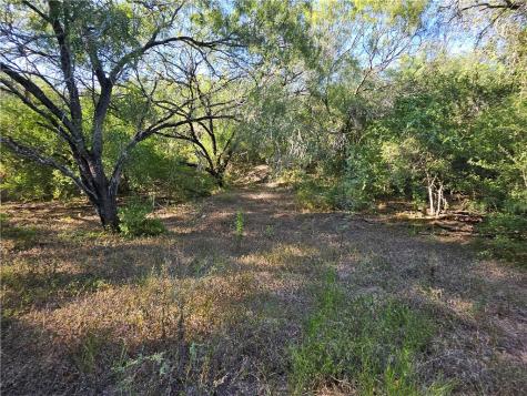 24024 441 Creek Mathis TX 78368